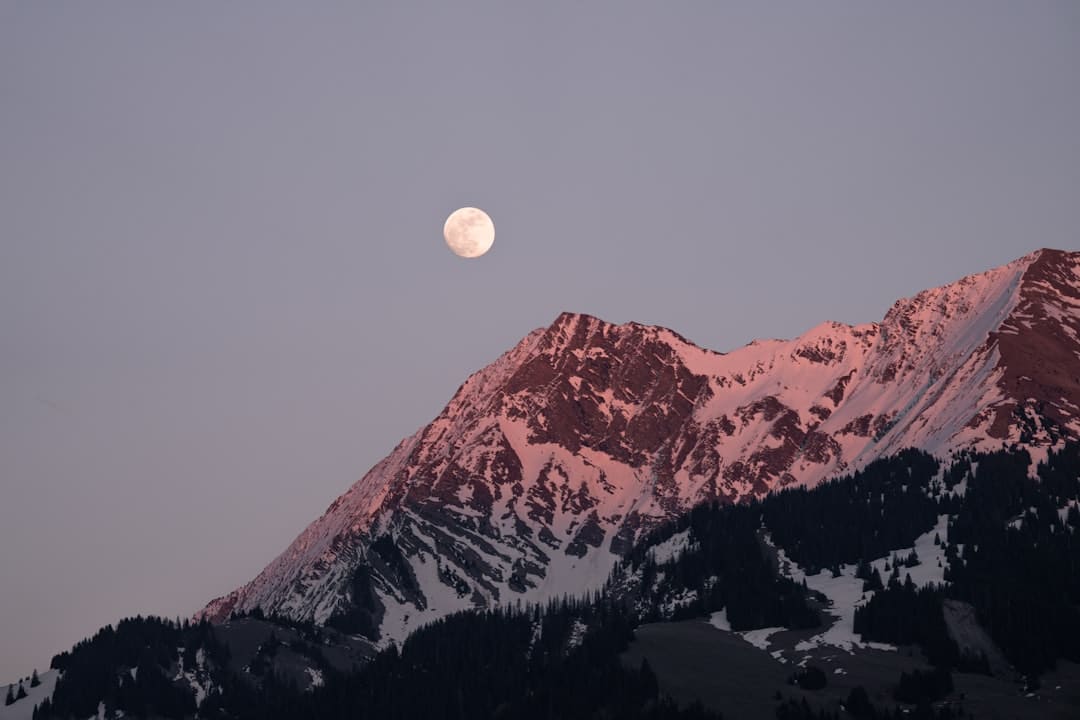 《子夜归》孔雪儿官配是谁 孔雪儿是反派吗？